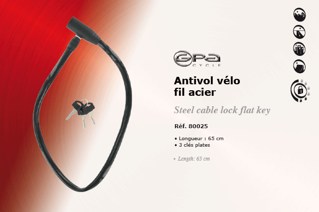 GPA Cycles Antivol velo fil d'acier