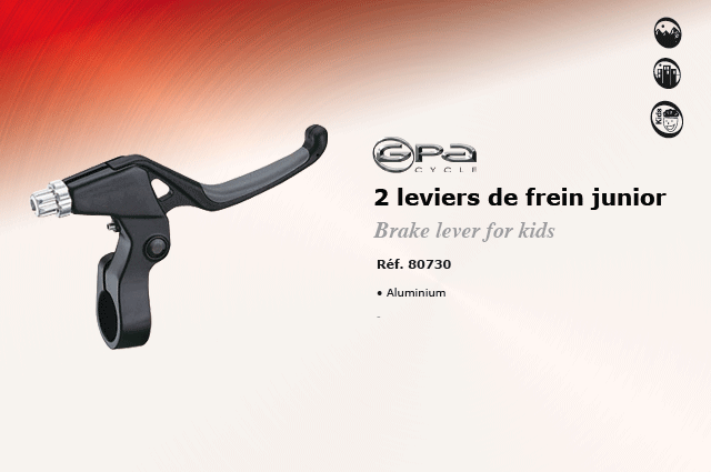 GPA Cycle 2 leviers de freins junior